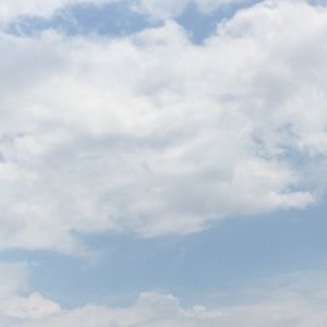 Meet your Posher, Payton